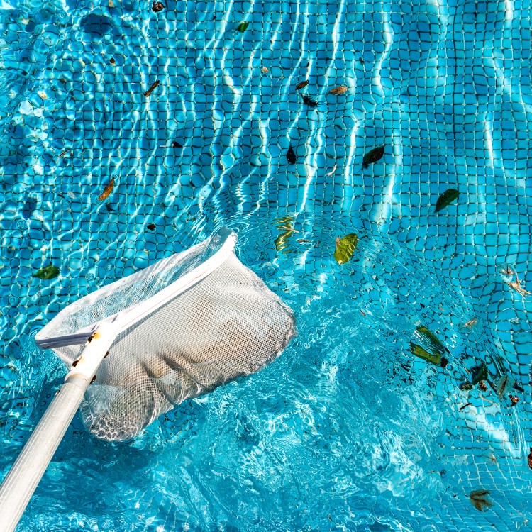 Pool maintenance services in Santa Clarita, CA